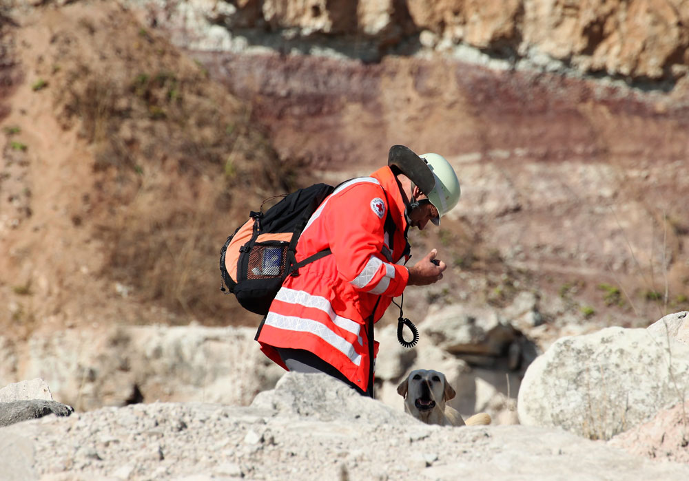 Mensch und Tier müssen bei der "Trümmerprüfung" der BRK-Rettungshundestaffeln in einem Steinbruch innerhalb von 20 Minuten drei Verletzte finden. (Foto: Michael Will / BRK)