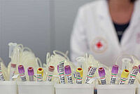Artikelbild Blutspende (Foto: Andre Zelck / DRK)